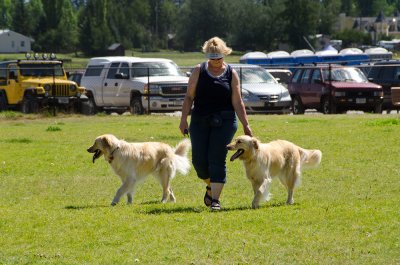 Sandy with Izzie and Shasta