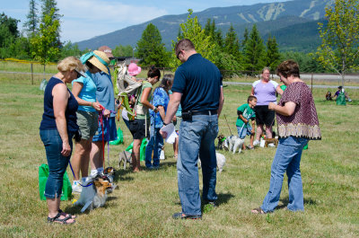 The Judging of the 3rd Annual Wagminster Dog Show