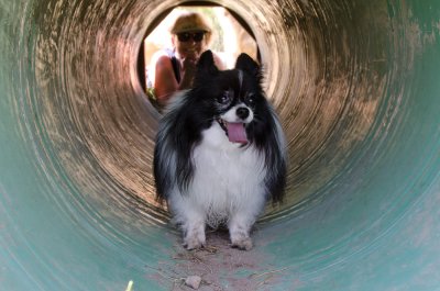 Madison Goes Underground (Sandy in the background)