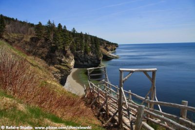 PARC FORILLON PRINTEMPS