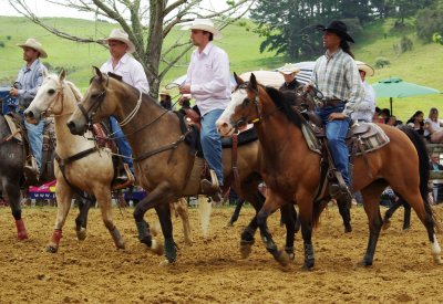 Oruru NZ Rodeo cowboys