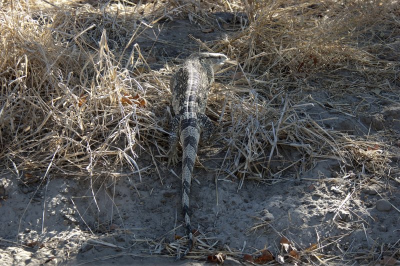 Botswana 2006