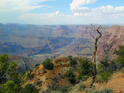 grand canyon21.jpg