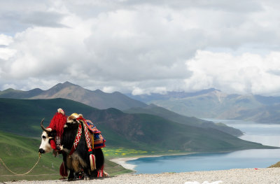 Lhasa-Gyantse_012.JPG