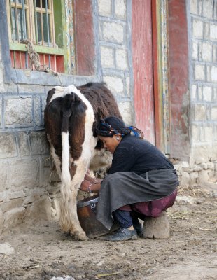 Gyantse-Shigatse_016.JPG