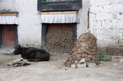 Gyantse-Shigatse_019.JPG