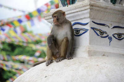 Swayambhunath _002.JPG