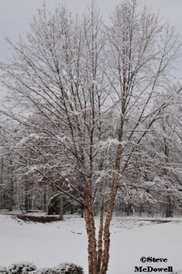 2010 12 26_D300s_3360.jpg