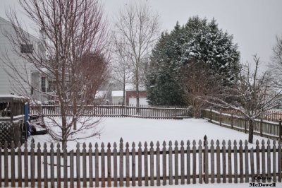 2011 01 10_D300s_2853.jpg