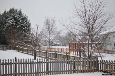 2011 01 10_D300s_2854.jpg