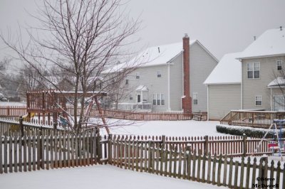 2011 01 10_D300s_2855.jpg