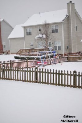 2011 01 10_D300s_2856.jpg