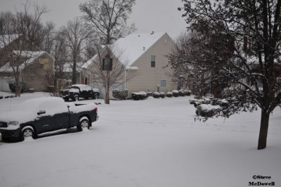 2011 01 10_D300s_2860.jpg