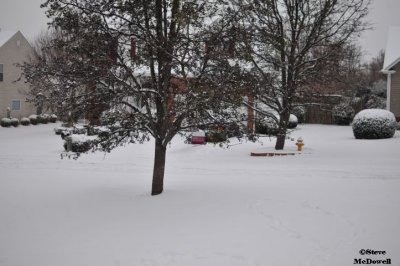 2011 01 10_D300s_2861.jpg