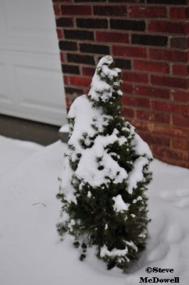 2011 01 10_D300s_2863.jpg