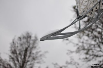 2011 01 10_D300s_2864.jpg
