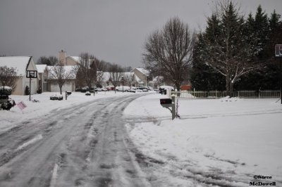2011 01 10_D300s_2869.jpg