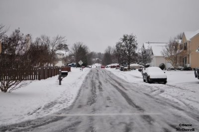 2011 01 10_D300s_2870.jpg