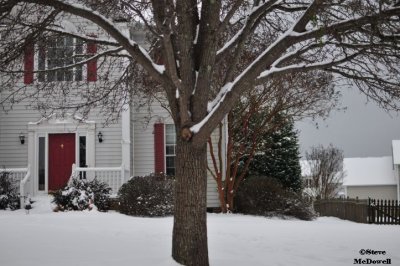 2011 01 10_D300s_2871.jpg