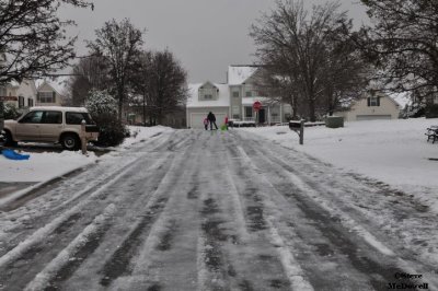 2011 01 11_D300s_2829.jpg