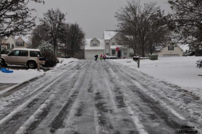 2011 01 11_D300s_2830.jpg