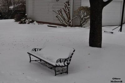 2011 01 11_D300s_2832.jpg