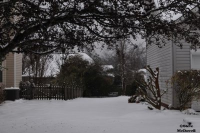 2011 01 11_D300s_2833.jpg