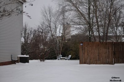 2011 01 11_D300s_2835.jpg