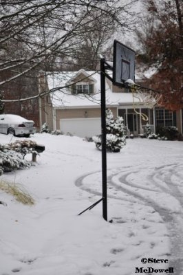 2011 01 11_D300s_2836.jpg