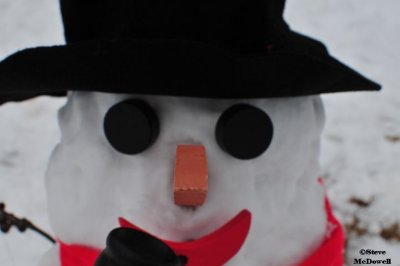 2011 01 11_D300s_2844.jpg