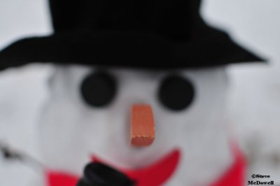 2011 01 11_D300s_2847.jpg