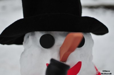 2011 01 11_D300s_2850.jpg