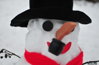 2011 01 11_D300s_2851.jpg