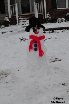 2011 01 11_D300s_3303.jpg