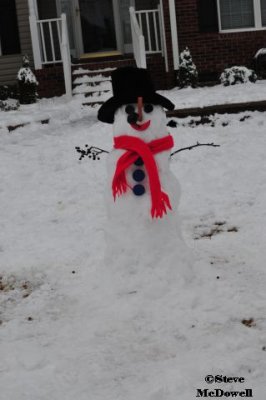 2011 01 11_D300s_3304.jpg