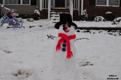 2011 01 11_D300s_3305.jpg