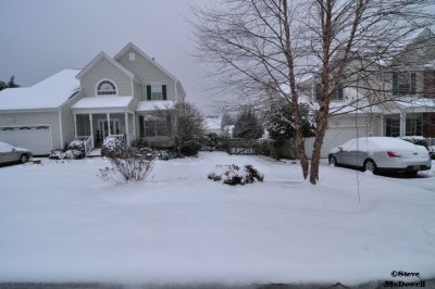 2011 01 11_D90_2806.jpg