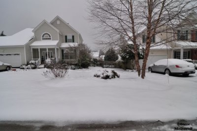 2011 01 11_D90_2807.jpg