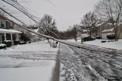 2011 01 11_D90_2810.jpg