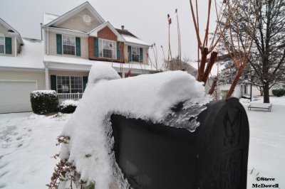 2011 01 11_D90_2811.jpg