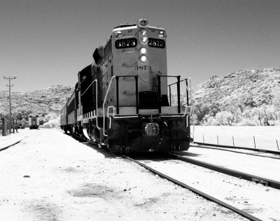 Train, Pacific Southwest Railway Musrum (IR)