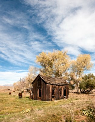 Pasture on highway 395