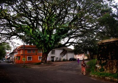 kochi