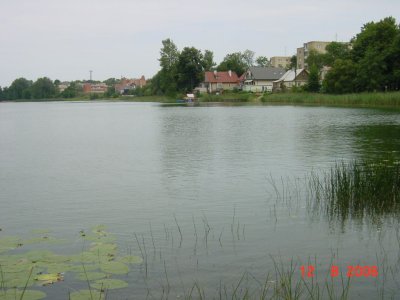43.jpg