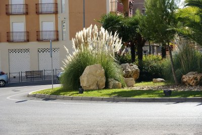 DSC04257.JPG