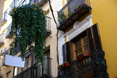 DSC04282.JPG