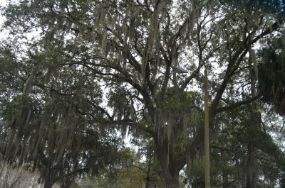Old Town,Brunswikick GA.