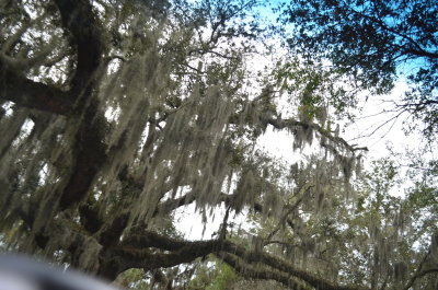 Old Town,Brunswikick GA.