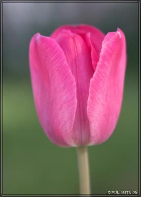 IMG_6043-01