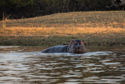 2012 Zimbabwe and Botswana